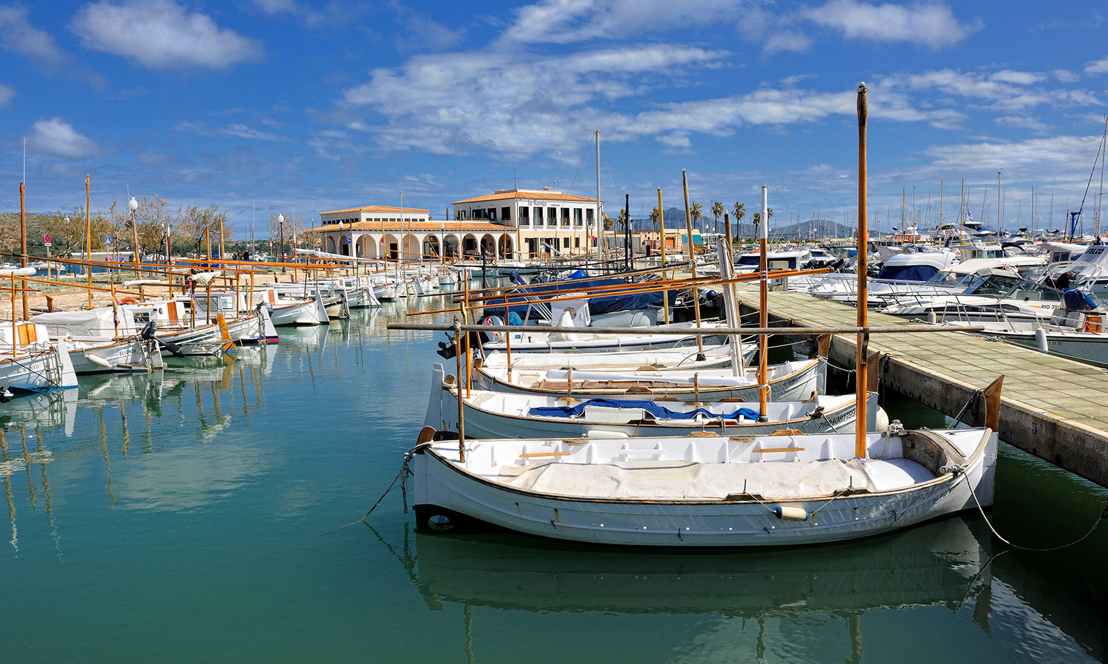 Discover the Traditional Port and Llaüts of Puerto Pollensa